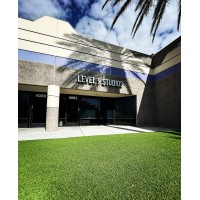 Level 9 Studios logo - Similar company to Edemvisuals