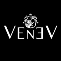 VENEV logo - Similar company to Tfi Srl