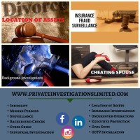 Private Investigations Limited logo - Similar company to The Eagle Group Private Investigations- Virginia