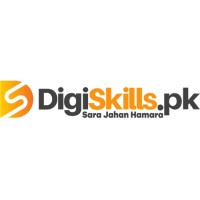 Digi Skills PK logo - Similar company to Digi Skills