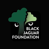 Black Jaguar Foundation logo - Similar company to Bee2Bee