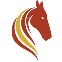 Pasofino Gold Limited logo - Similar company to Oriole Resources Plc