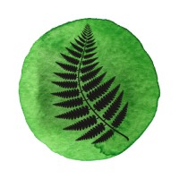 Foxglove and Fern Consulting logo - Similar company to Squared Circle Group