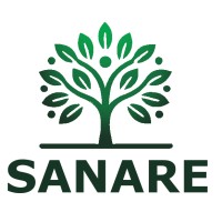 Institut Sanare logo - Similar company to Wehappers