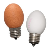 Egglamp logo - Similar company to Convention Bureau Gelderland