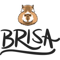 Beba Brisa logo - Similar company to Office It