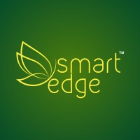 Smart Edge logo - Similar company to Smart Edge