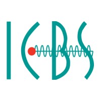 ICBS Inc, - Intercommercial Business Systems logo - Similar company to Data Solutions Group, Inc.