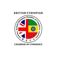 British Ethiopian Chamber logo - Similar company to Imagine Beauty