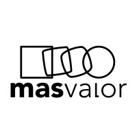 masvalor logo - Similar company to Nirvana Home Entertainment