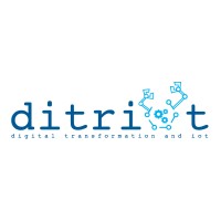 DITRIOT Consulting logo - Similar company to Blassa