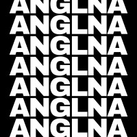 ANGLNA Social logo - Similar company to Wisedu Consultancy