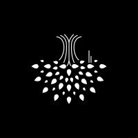 Multiversity Group logo - Similar company to Nuverse- The New Language Of Health