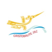Cristobalite JSC logo - Similar company to Gns Cooperation & Development