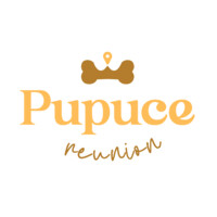 Pupuce Réunion logo - Similar company to Runmail