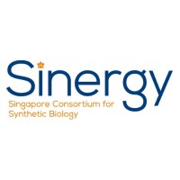 SINERGY, Singapore Consortium for Synthetic Biology logo - Similar company to Nus Synthetic Biology For Clinical And Technological Innovation (Syncti)