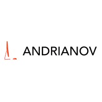 Andrianov Consulting logo - Similar company to Owner.One