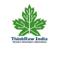 ThinkRaw logo - Similar company to Skyskillhub