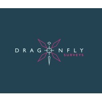Dragonfly Surveys logo - Similar company to Virtual° Soho