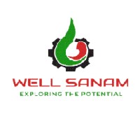 Wellsanam oil service company logo - Similar company to Ls Well Interventions
