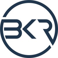 BKR Group (B.K. Rekhatex (HK) Limited) logo - Similar company to Vmd. Daya International Co., Ltd