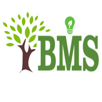 BMS Technologies America LLC logo - Similar company to Bmsdesign