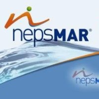 Nepsmar logo - Similar company to Navisafe Nv