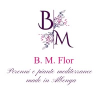 B.M. Flor di Eleonora Bonifazio logo - Similar company to Omniafood S.R.L.