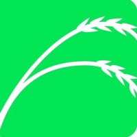 Teff logo - Similar company to Konjo