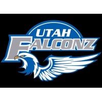 Utah Falconz logo - Similar company to Wiserspread
