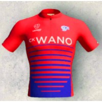 CK Wano logo - Similar company to Holm Digital Ab