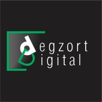 DegZort Digital logo - Similar company to Entirety Web Solutions