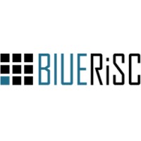 BlueRISC Inc. logo - Similar company to Analog Technologies, Inc.