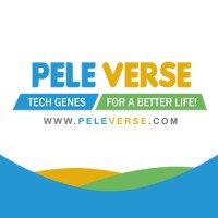 Peleverse logo - Similar company to Exaroll Studio