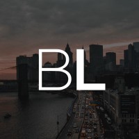 Barrows Levy PLLC logo - Similar company to Nolletti Law Group