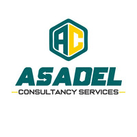 Asadel Consultancy Services logo - Similar company to Asadel Technologies