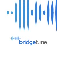 BridgeTune logo - Similar company to Chiron Limited
