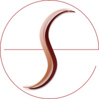 Evensense
