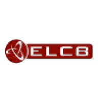 ELCB Information Services (Pty) Ltd logo - Similar company to Ransoft