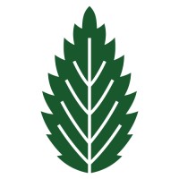 Nettlestone Capital Advisors logo - Similar company to Neo Royal Executive Club