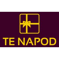 Te Napod logo - Similar company to Funkmartini