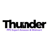 Thunder Ecom Experts logo - Similar company to Va Team Experts Llc