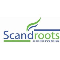 SCANDROOTS COLOMBIA logo - Similar company to Biolodos Anox S.A.S E.S.P