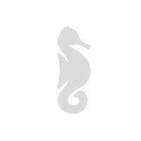 AIG SL logo - Similar company to Eclipse Comunicación Dixital S.L.