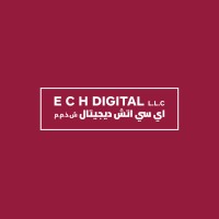 ECH DIGITAL logo - Similar company to Pro Services & Following Transactions Group
