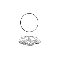 Roberta d'Amore - Art Gallery logo - Similar company to Artemidae