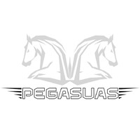 PEGASUAS logo - Similar company to Flightec Solutions