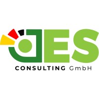 Des Consulting Gmbh logo - Similar company to Coding.Ms