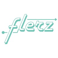 FLERZ Management Consultancy Services logo - Similar company to Dmi Computer Education