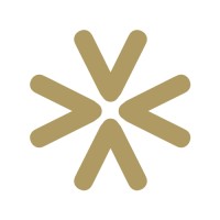 The Lyx Institution logo - Similar company to Roc Clinic